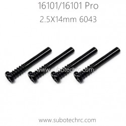 SUCHIYU 16101 Pro RC Car Parts Screw 2.5X14mm 6043